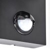 Applique murale Up & Down Kingstown cylindrique, lot de 2, détecteur de mouvement IP44