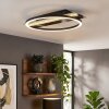 Kordex plafonnier LED moderne pour salon et salle à manger, design anneau plat
