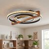 Selani plafonnier LED avec télécommande, anneaux croisés, design moderne plat