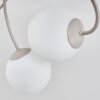 Plafonnier Chehalis moderne à 6 lumières avec abat-jour ronds en verre blanc, ø 12 cm