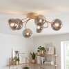 Chehalis plafonnier à globes ronds 6 lumières G9, diamètre 64 cm, style rétro