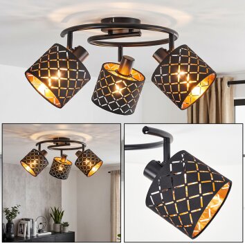 Tallaboa plafonnier 3 spots orientables, abat-jour ajourés effet doré