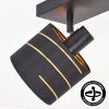 Alsen plafonnier spot de plafond 4 lumières, rampe orientable pour salon