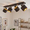 Spot de plafond Alsen à 4 lumières, têtes orientables, abat-jour noirs et dorés