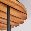 Plafonnier moderne à 4 lumières Gastor, avec des abat-jour ronds en verre ambré en grappe