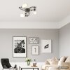 NOWA Venezia plafonnier rond floral moderne à bras courbés 3 lumières E14 Ø 50 cm