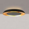 Steinhauer Plafonnier rond LED Golden Veil, forme plate, 2700 Kelvin blanc chaud