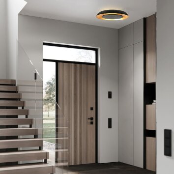 Steinhauer Plafonnier rond LED Golden Veil, forme plate, 2700 Kelvin blanc chaud