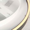 Steinhauer Ringlux plafonnier LED rond anneau 30 cm 2700 kelvin 2500 lumens 20 watts