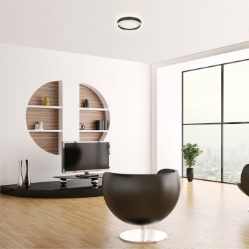 Steinhauer Ringlux plafonnier LED rond anneau 30 cm 2700 kelvin 2500 lumens 20 watts