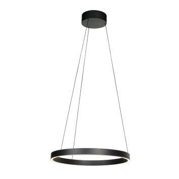 Steinhauer Mykty suspension anneau LED moderne Ø 60 cm, longueur 60 cm, 2 flammes