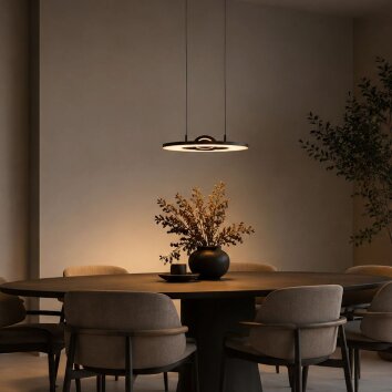Steinhauer Soleil suspension LED 2 lumières réglable 30 Watt 4000 Lumen 2700 Kelvin
