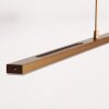 Steinhauer Suspension Zelena, température de couleur réglable 2200-4000 Kelvin, réglable en hauteur