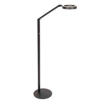 Steinhauer Ringlux lampadaire LED liseuse sur pied réglable à tête orientable