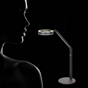 Steinhauer Ringlux lampadaire de lecture réglable sur pied pivotant LED