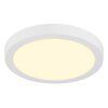 Globo Luno plafonnier LED rond moderne pour couloir et salon, 29 cm, 24 W, 3000 K, 2640 lm