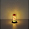 Globo Rosalina lampe décorative à poser rose sous cloche LED