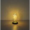 Globo Rosalina lampe décorative à poser rose sous cloche LED