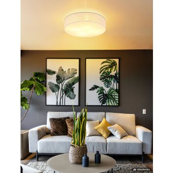 NOWA Jule plafonnier rond moderne 4 flammes E27 58 cm pour salon et salle à manger