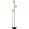Globo Daren lampadaire sur pied moderne pour salon, 3 lumières E27 167 cm