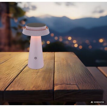 Globo MIRALIE lampe solaire de jardin à poser LED, 400 lm, design moderne pour extérieur