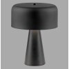 SCHÖNER WOHNEN-Kollektion PENTO lampe à poser design moderne E27 pour salon et chambre