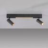 SCHÖNER WOHNEN-Kollektion DANTE plafonnier GU10 à 2 spots orientables