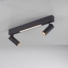 SCHÖNER WOHNEN-Kollektion DANTE plafonnier GU10 à 2 spots orientables