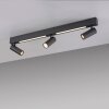 SCHÖNER WOHNEN-Kollektion DANTE plafonnier à 3 spots GU10 orientables moderne