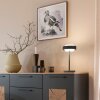 SCHÖNER WOHNEN-Kollektion ELMO lampe de table d'appoint LED moderne à interrupteur tactile