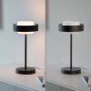 SCHÖNER WOHNEN-Kollektion ELMO lampe de table d'appoint LED moderne à interrupteur tactile