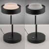 SCHÖNER WOHNEN-Kollektion ELMO lampe de table d'appoint LED moderne à interrupteur tactile