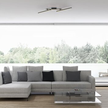 SCHÖNER WOHNEN-Kollektion STRAIGHT plafonnier LED linéaire orientable moderne