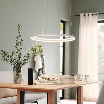 SCHÖNER WOHNEN-Kollektion QUILLO suspension LED anneau 60 cm