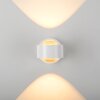 SCHÖNER WOHNEN-Kollektion CHIA applique murale LED globe, 2 flammes, 3000 K, 220 lm, 2 W