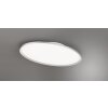 Trio Leuchten Plafonnier LED ovale plat moderne en titane, 6500 Kelvin blanc lumière du jour