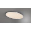 Trio Leuchten Plafonnier LED ovale plat moderne en titane, 6500 Kelvin blanc lumière du jour