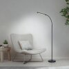 Paul Neuhaus lampadaire LED ELLY, bras arqué réglable, blanc réglable 2700-5000 Kelvin
