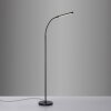 Paul Neuhaus lampadaire LED ELLY, bras arqué réglable, blanc réglable 2700-5000 Kelvin