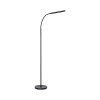Paul Neuhaus lampadaire LED ELLY, bras arqué réglable, blanc réglable 2700-5000 Kelvin