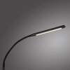 Paul Neuhaus lampadaire LED ELLY, bras arqué réglable, blanc réglable 2700-5000 Kelvin