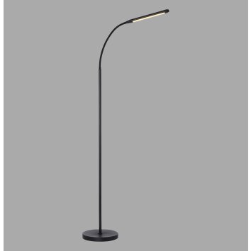 Paul Neuhaus lampadaire LED ELLY, bras arqué réglable, blanc réglable 2700-5000 Kelvin