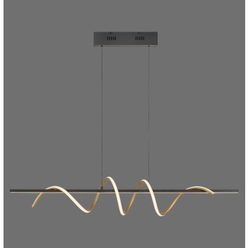 Leuchten Direkt Suspension LED Emanda, mémoire, hauteur réglable, 3000 Kelvin blanc chaud