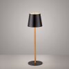 Leuchten Direkt Lampe à poser LED EURIA, 3000 Kelvin blanc chaud, IP54, abat-jour noir
