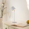 Leuchten Direkt, lampe à poser LED BOTERIA réglable, IP54, blanc chaud, 3000 Kelvin