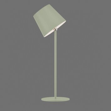 Leuchten Direkt Lampe à poser BOTERIA, LED verte orientable, 3000 Kelvin blanc chaud
