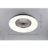 Reality Ventilateur de plafond Svaerholt, RGB, noir, blanc réglable 2700-6500 Kelvin