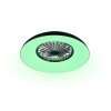 Reality Ventilateur de plafond Svaerholt, RGB, noir, blanc réglable 2700-6500 Kelvin