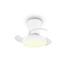 Reality Ventilateur de plafond LED Moss, blanc réglable 2700-6500 Kelvin, 6 vitesses