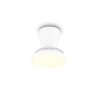 Reality Ventilateur de plafond LED Moss, blanc réglable 2700-6500 Kelvin, 6 vitesses